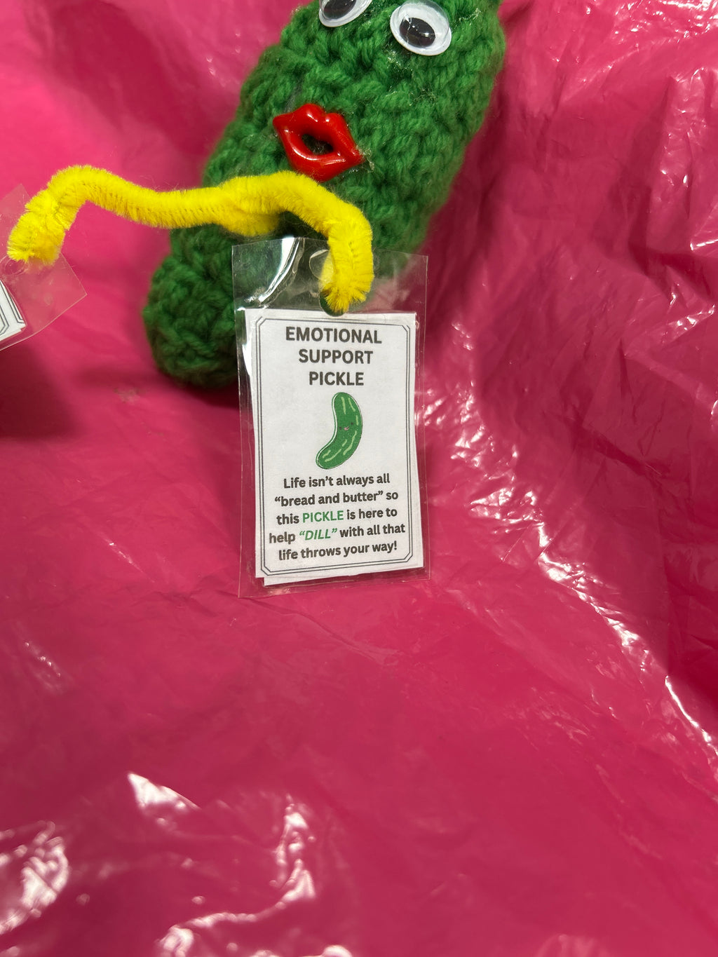 Emotional Support Pickle