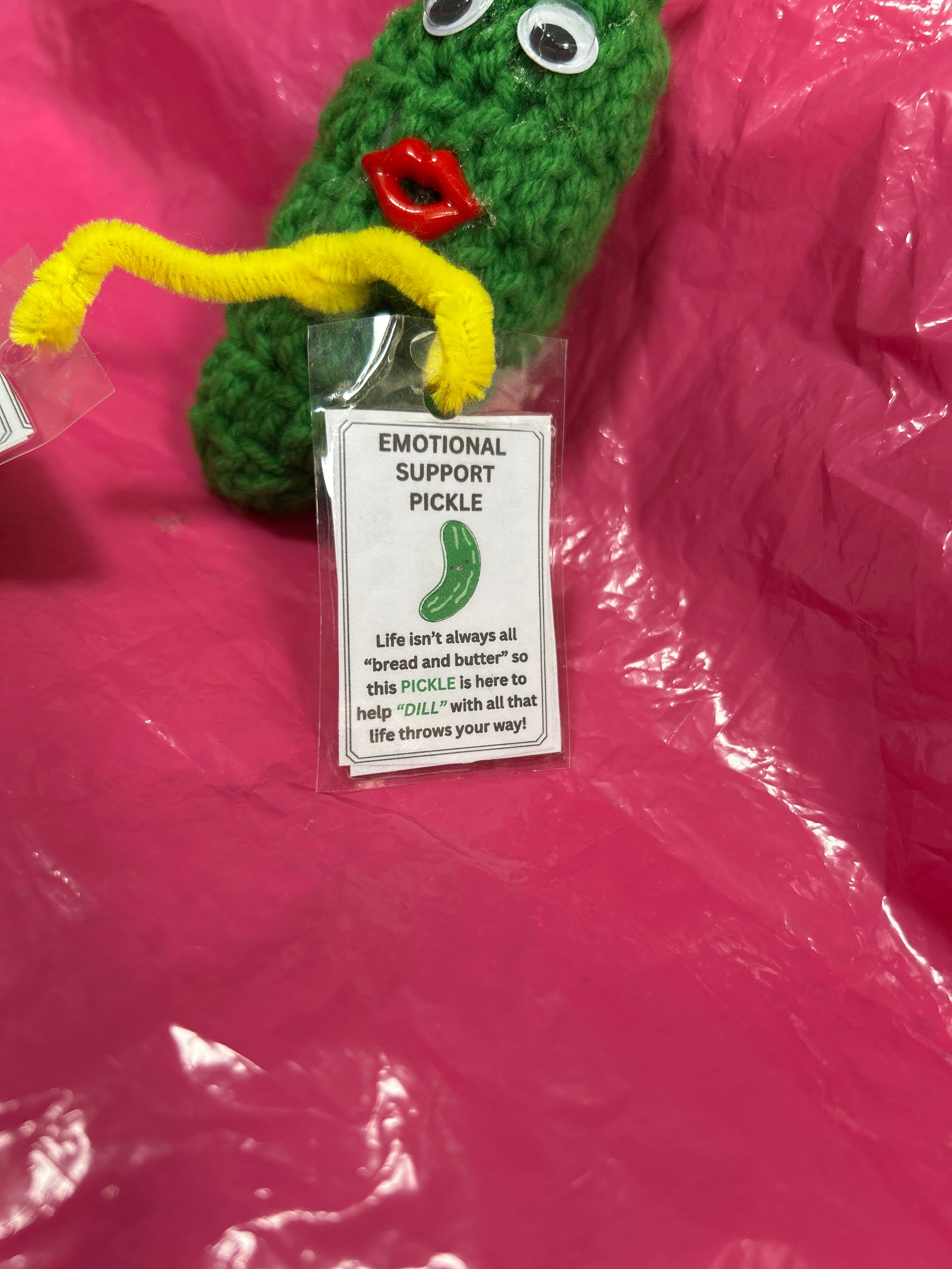 Emotional Support Pickle