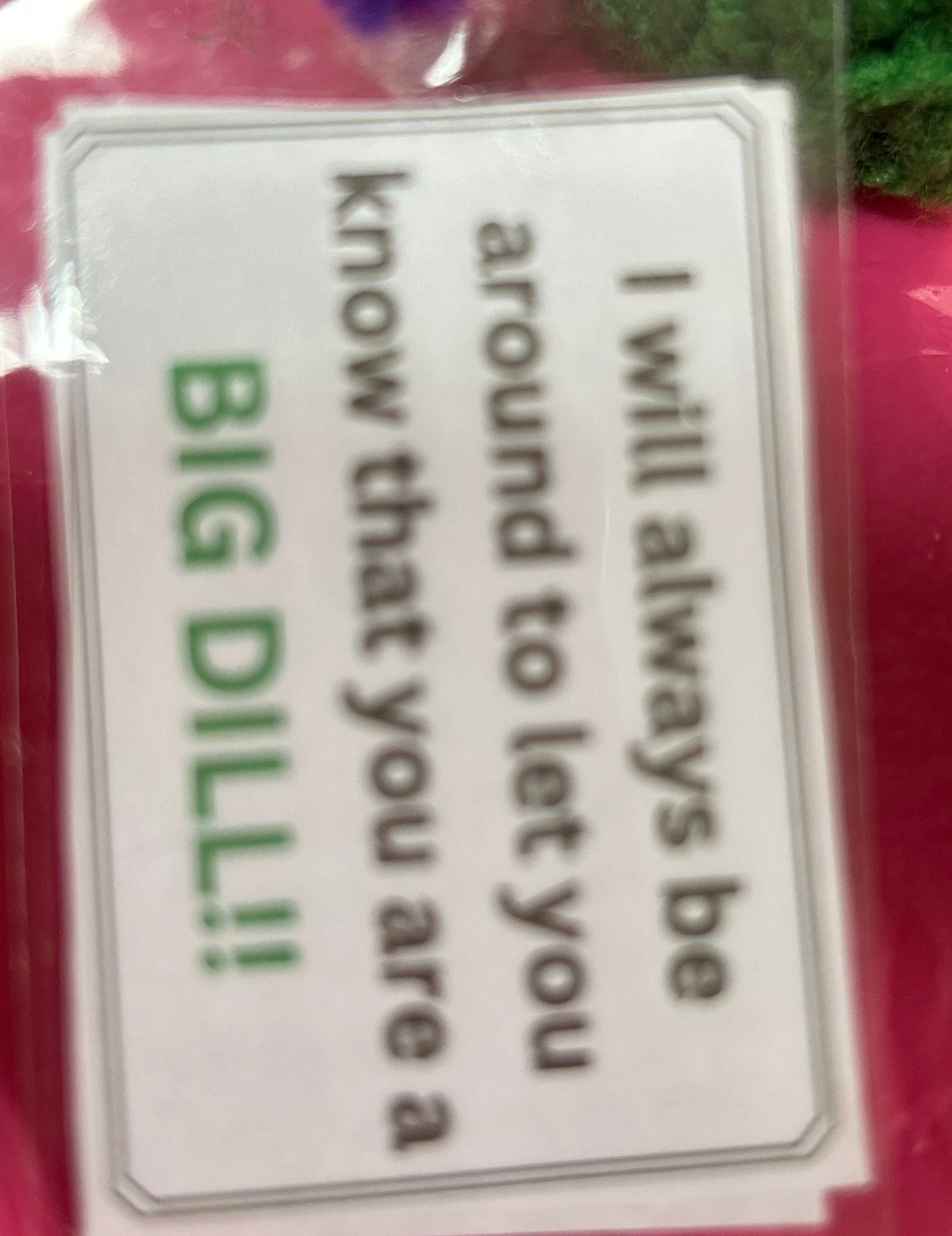 Small green dill plant with a humorous tag on a pink background