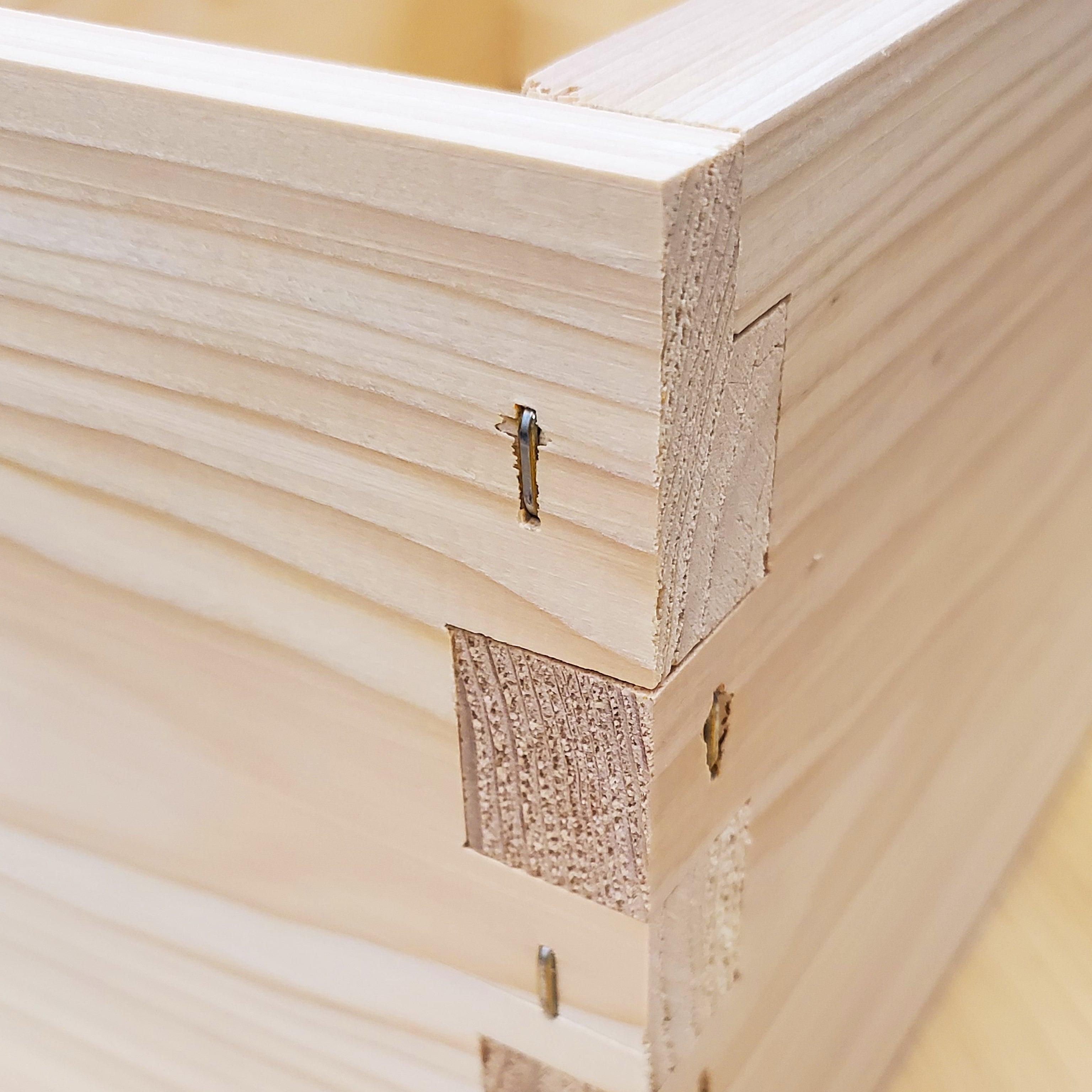 8-Frame All-Medium Box Hive Kit
