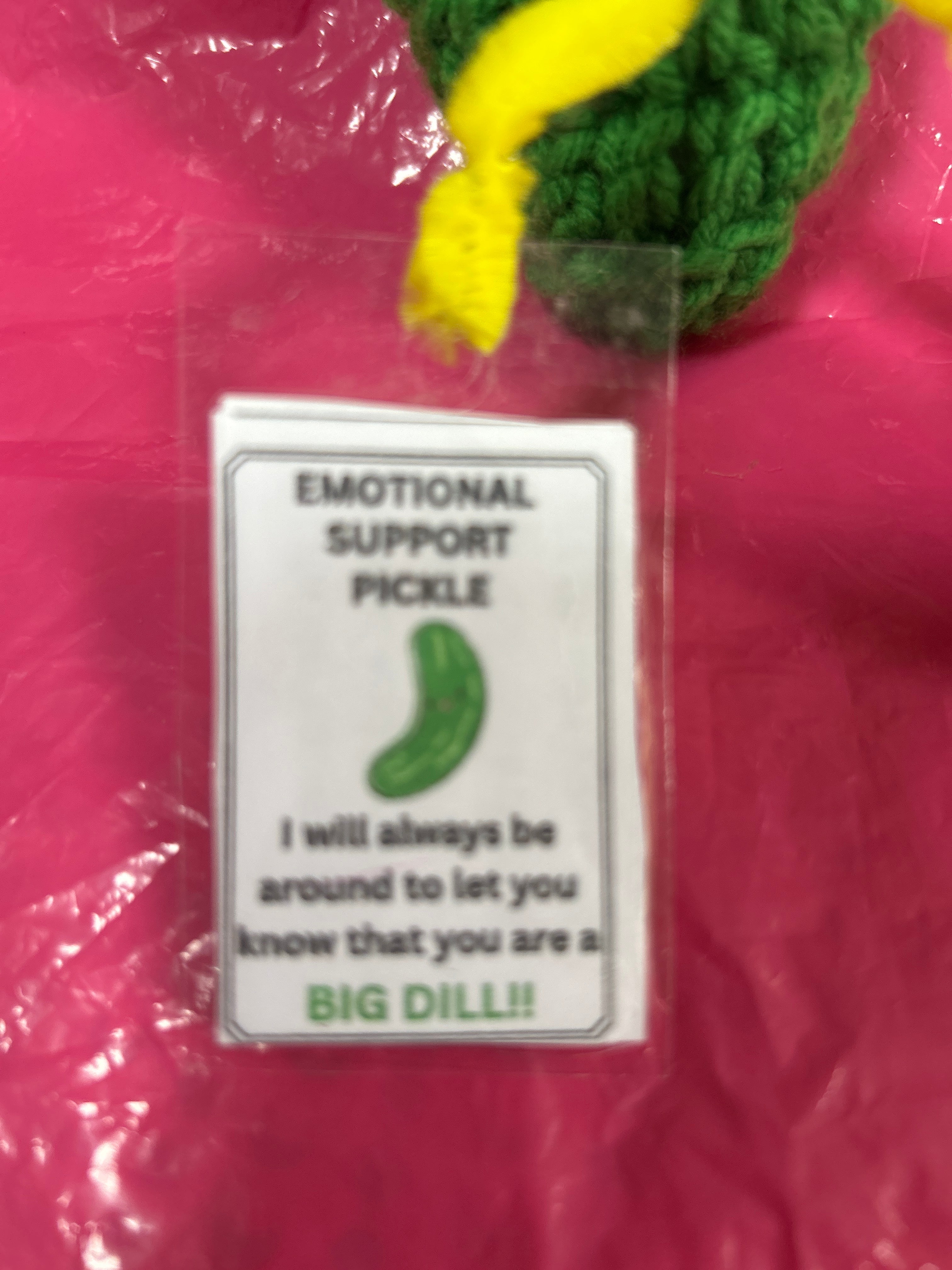 Emotional Support Pickle