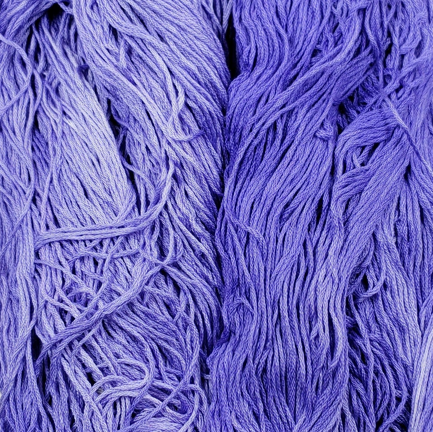 Anemone - Flower Silk by StitchyBox (Standard Colorway)