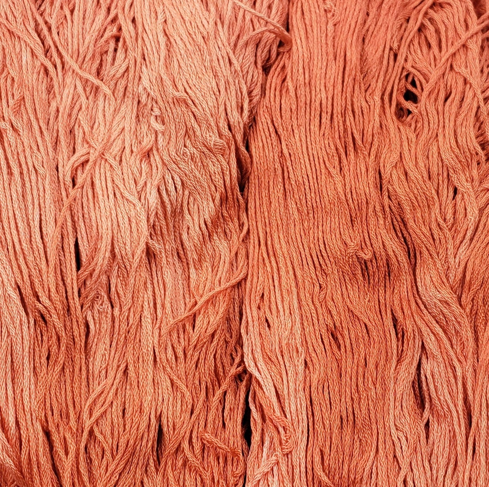 Banksia - Flower Silk by StitchyBox (Standard Colorway)