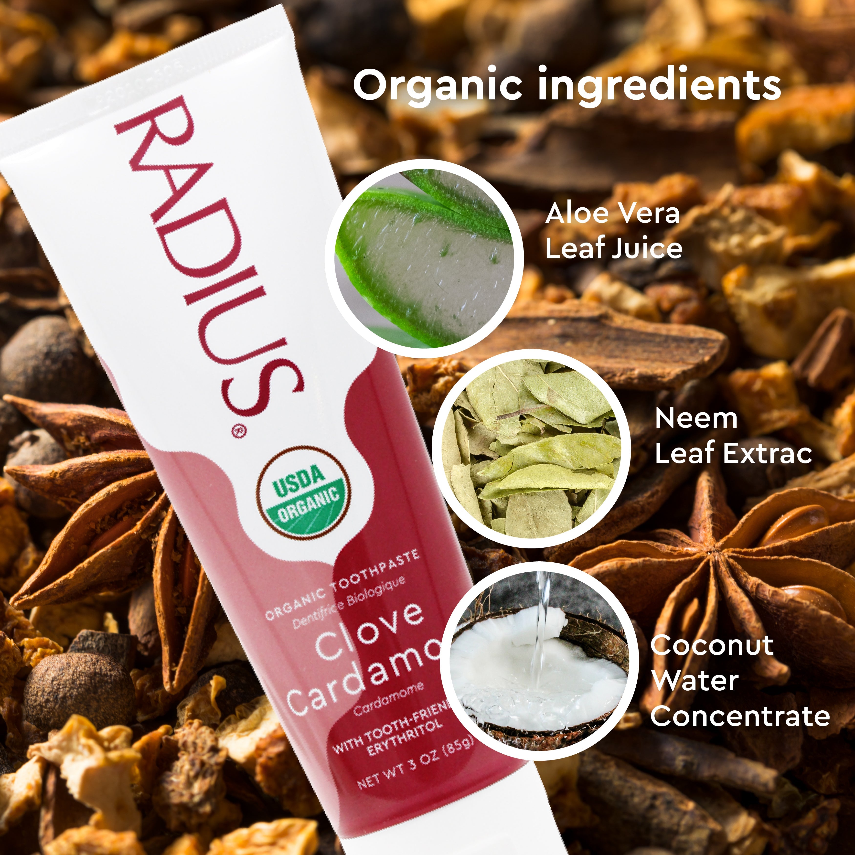 USDA Organic Clove Cardamom Toothpaste