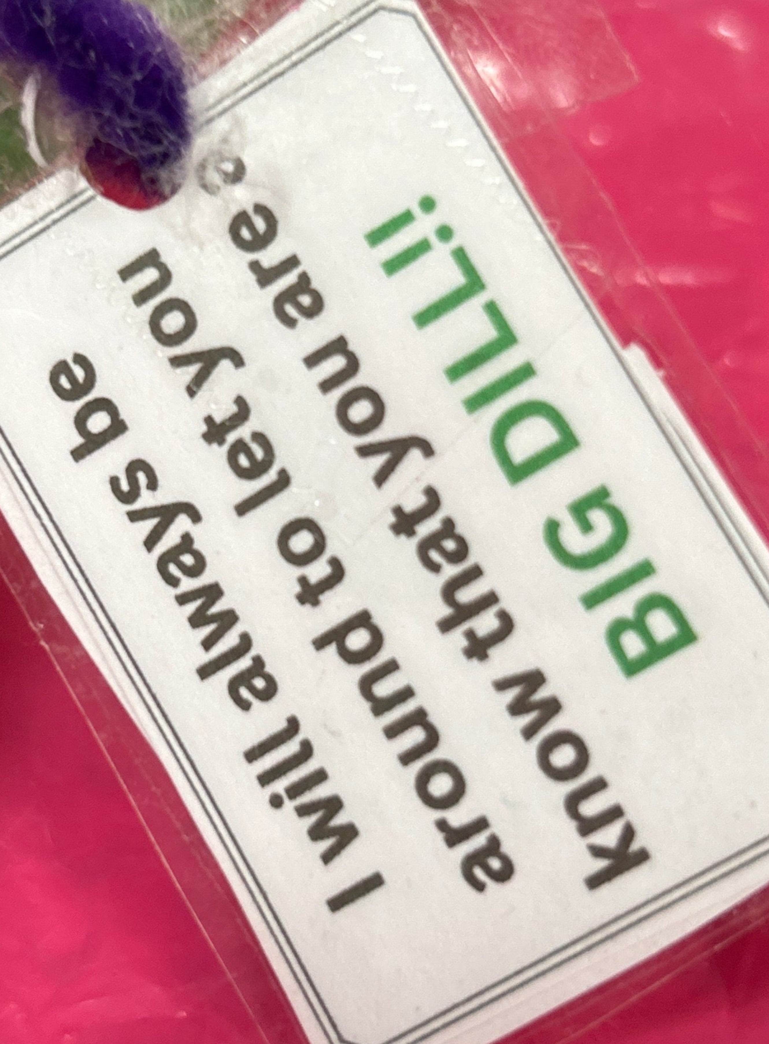 Green knitted item with a purple flower and red object, accompanied by a clear plastic bag with text on a pink background.