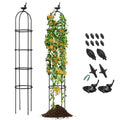 2-Pack Garden Obelisk Trellis for Climbing Plants-Black