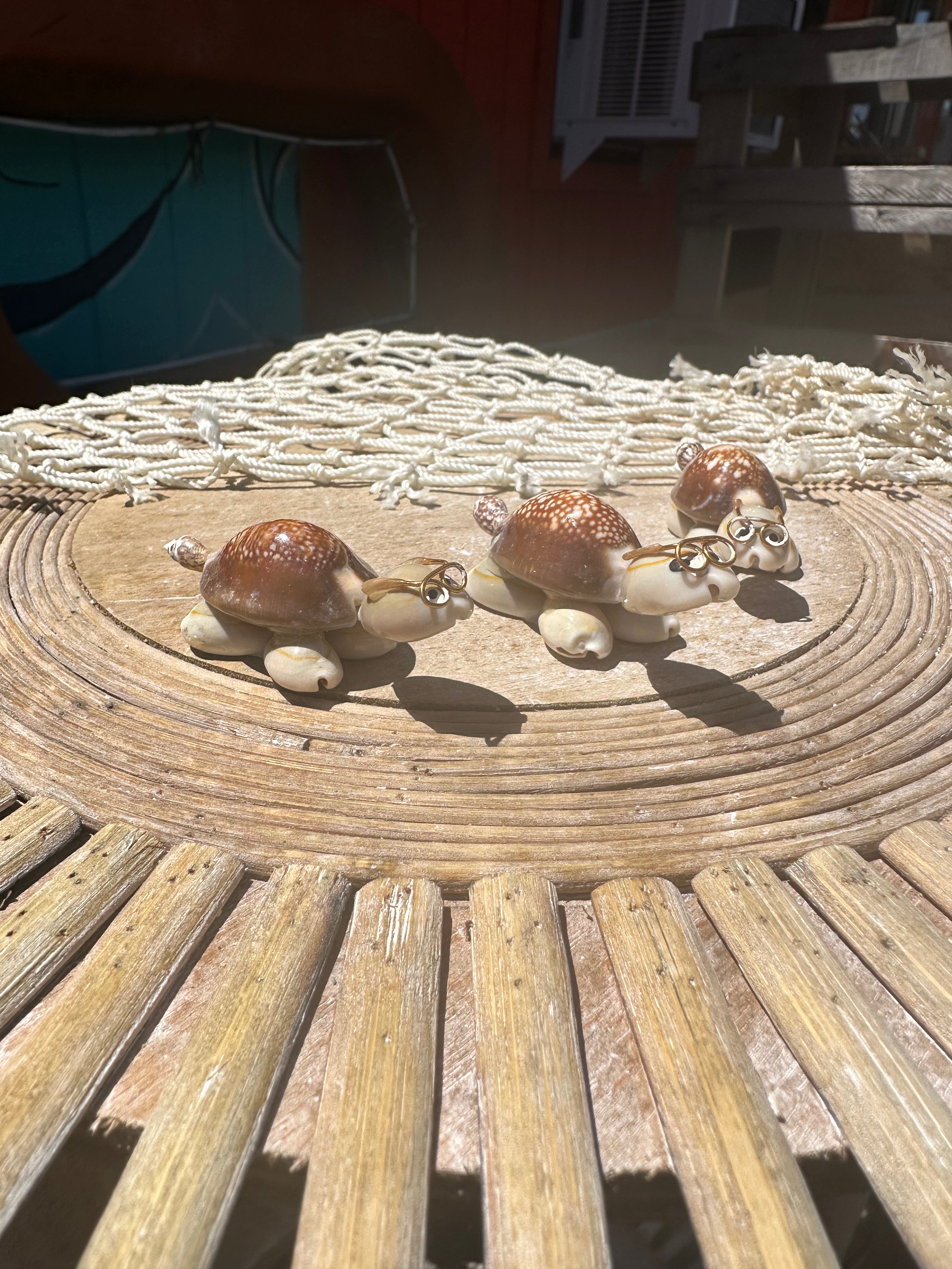 Sea Turtle Seashell Critters