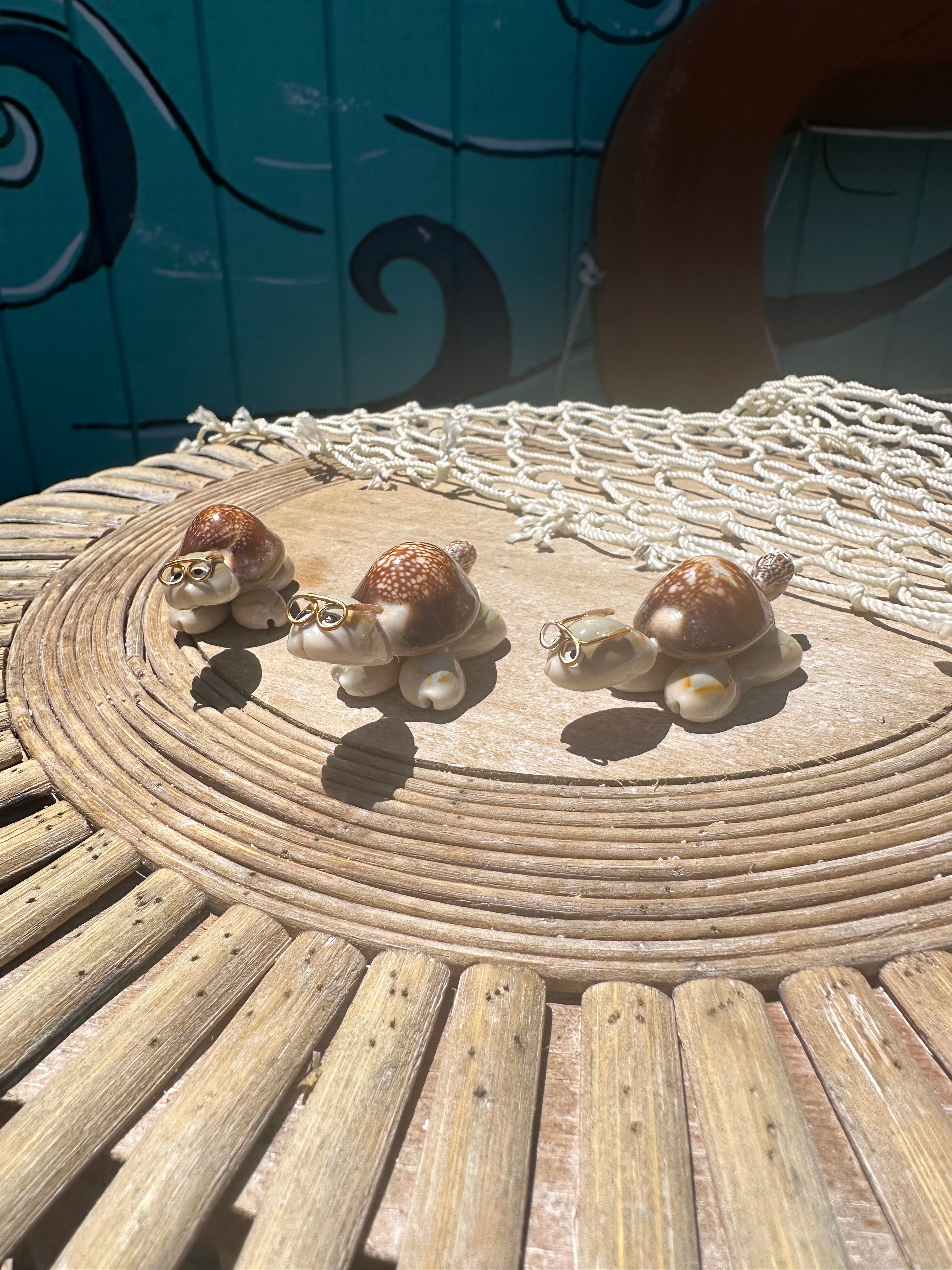 Sea Turtle Seashell Critters