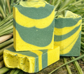 Three green and yellow striped sponges on a bed of green leaves