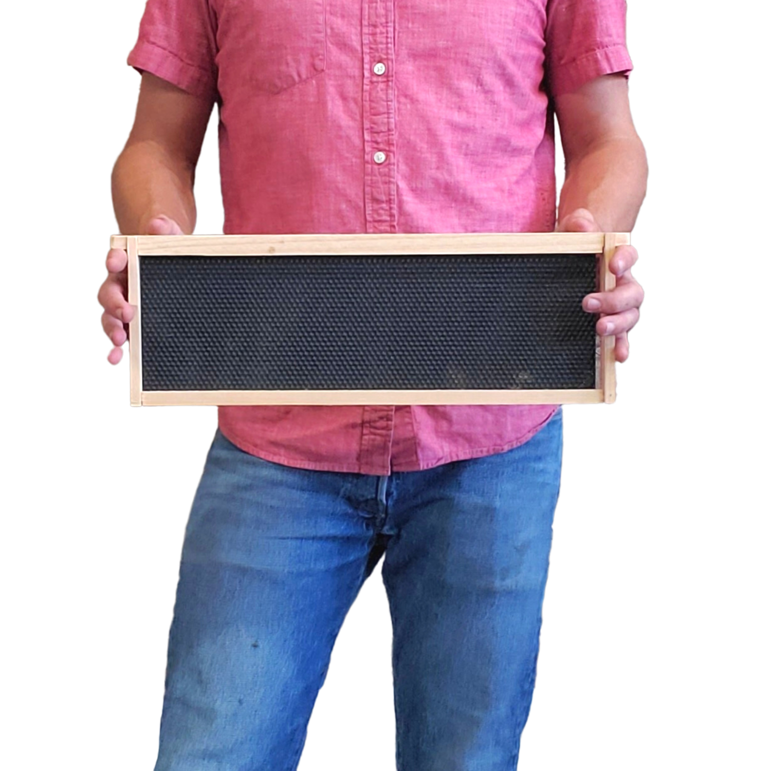 Medium 6 1/4-Inch Frame, Grooved Top / Grooved Bottom With Double Wax Foundation