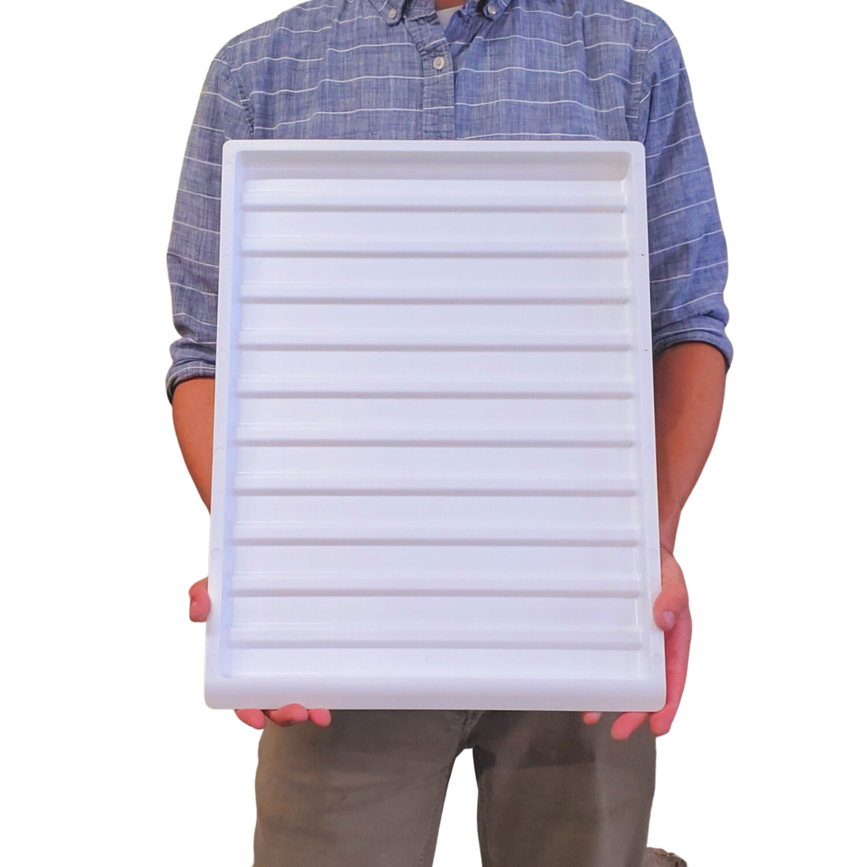 Small Hive Beetle Oil Pan Trap