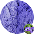 Anemone - Flower Silk by StitchyBox (Standard Colorway)