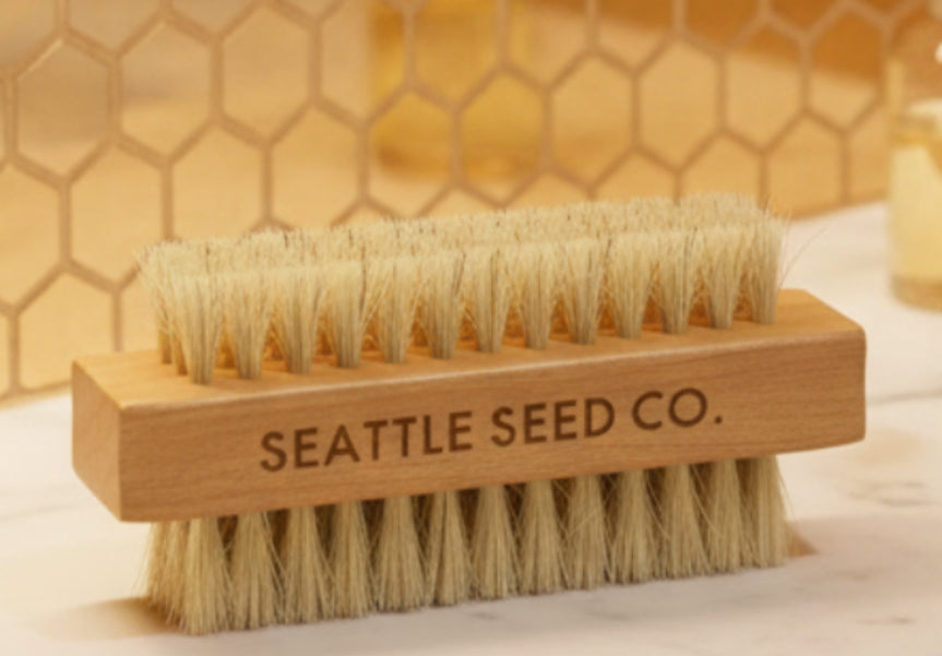 Wooden brush with bristles labeled 'Seattle Seed Co' on a white background