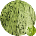 Green Shoots - Flower Silk by StitchyBox (Standard Colorway)